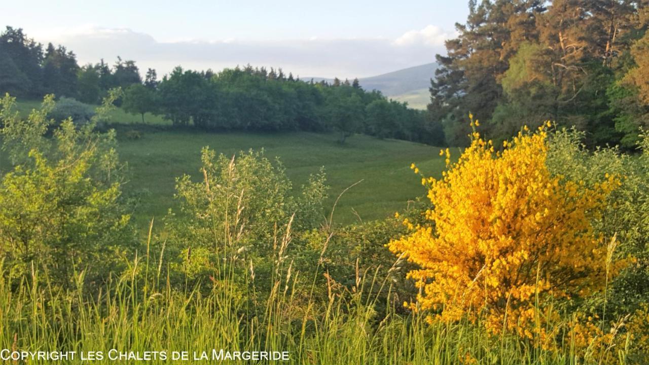 Les Chalets De La Margeride Blavignac 外观 照片