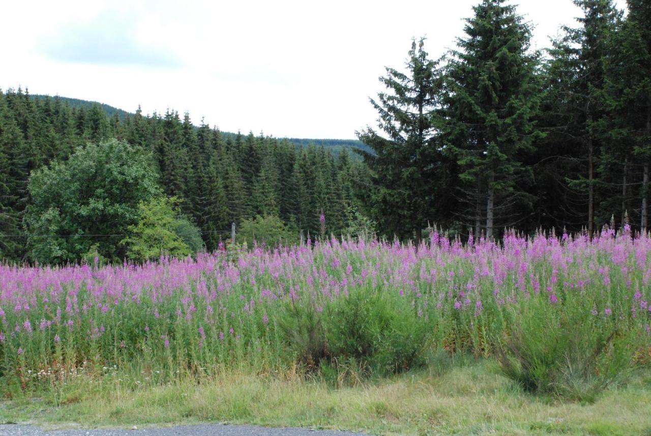 Les Chalets De La Margeride Blavignac 外观 照片