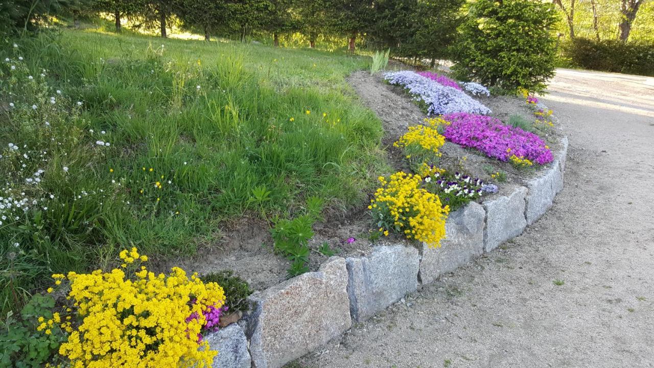 Les Chalets De La Margeride Blavignac 外观 照片